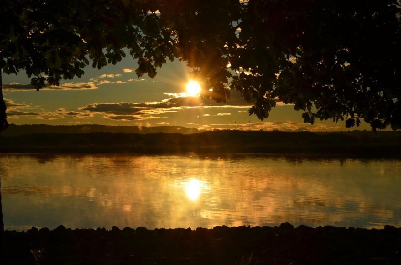 Domek Nad Odra Gryfino Exterior foto